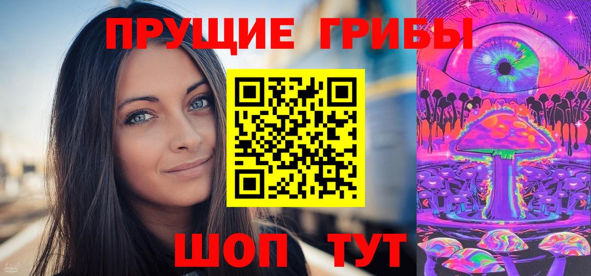 Галлюциногенные грибы Psilocybine cubensis Химки