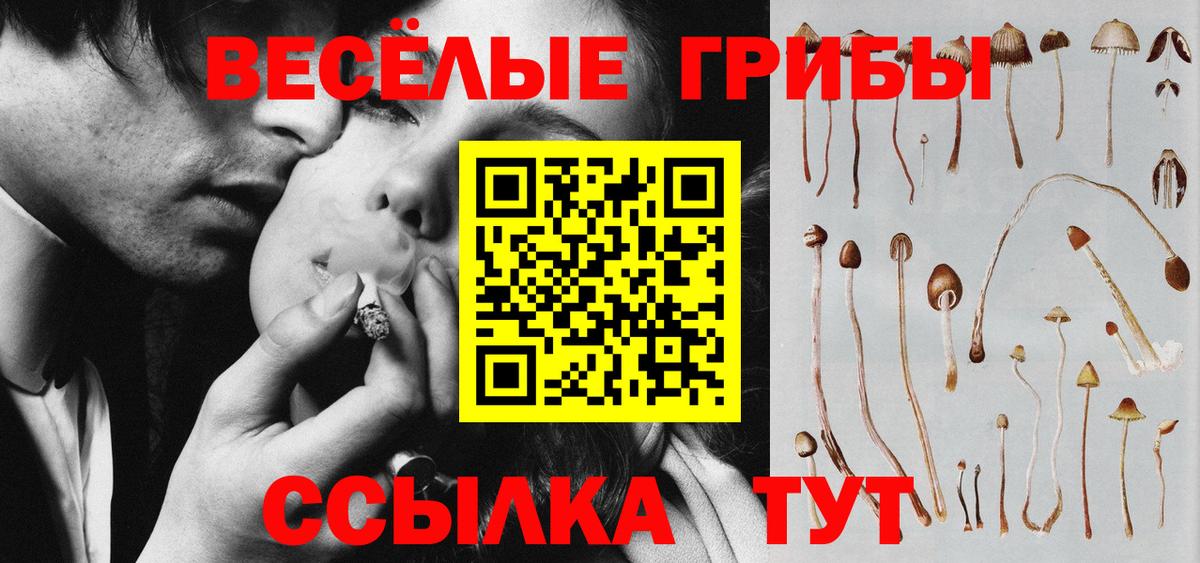 Псилоцибиновые грибы Magic Shrooms  купить наркотик  Вход с VPN  Химки  Галлюциногенные грибы мухоморы 